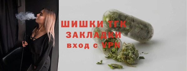 гашик Михайловка