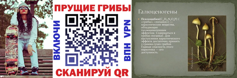 Псилоцибиновые грибы мицелий  Монино 